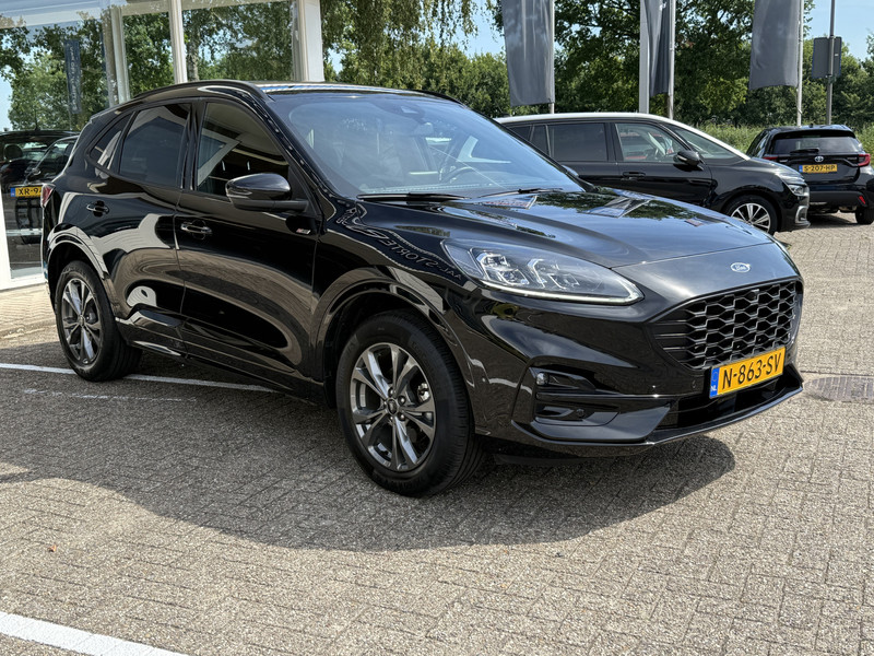337573517-100-6.jpg