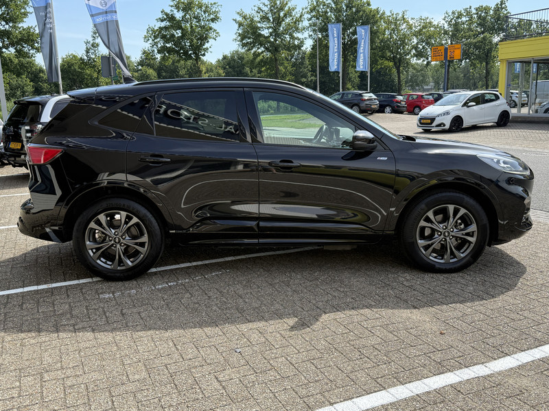 337573517-100-7.jpg