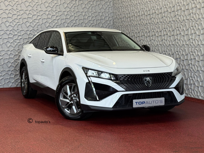 439991568-100