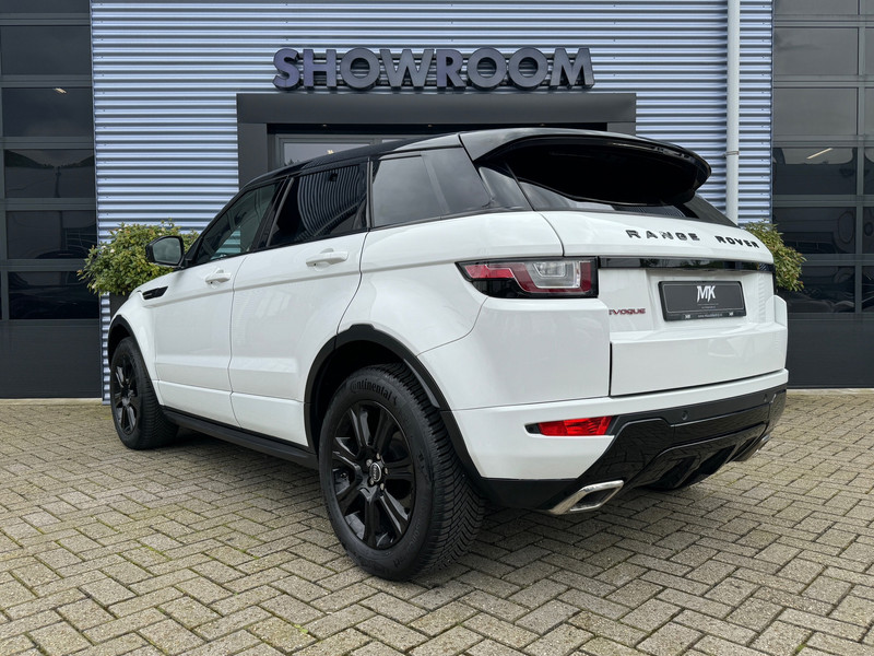 41463728-2.jpg