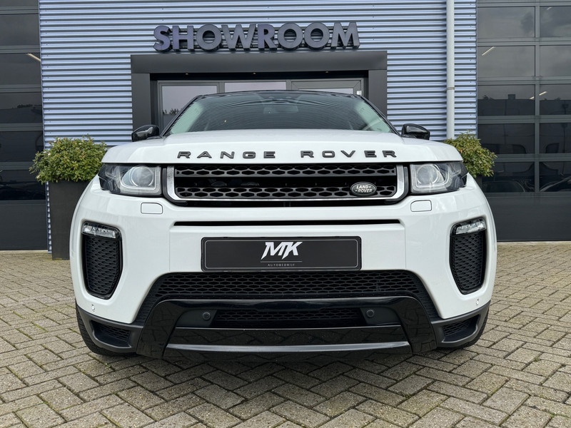 41463728-3.jpg
