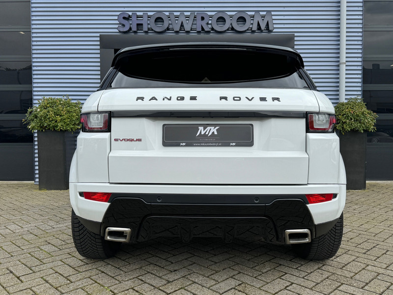 41463728-9.jpg