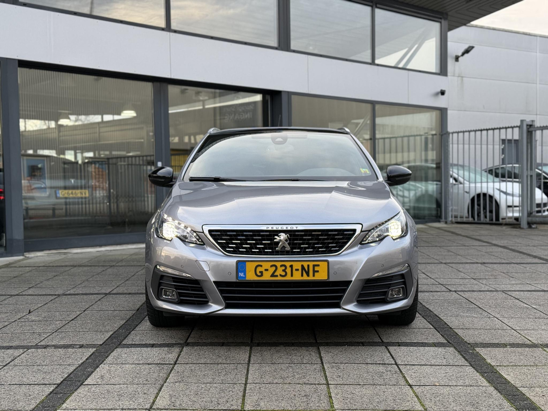41722371-7.jpg