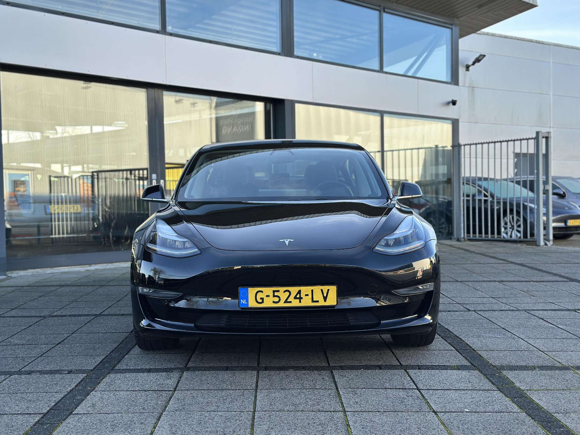 41863723-7.jpg