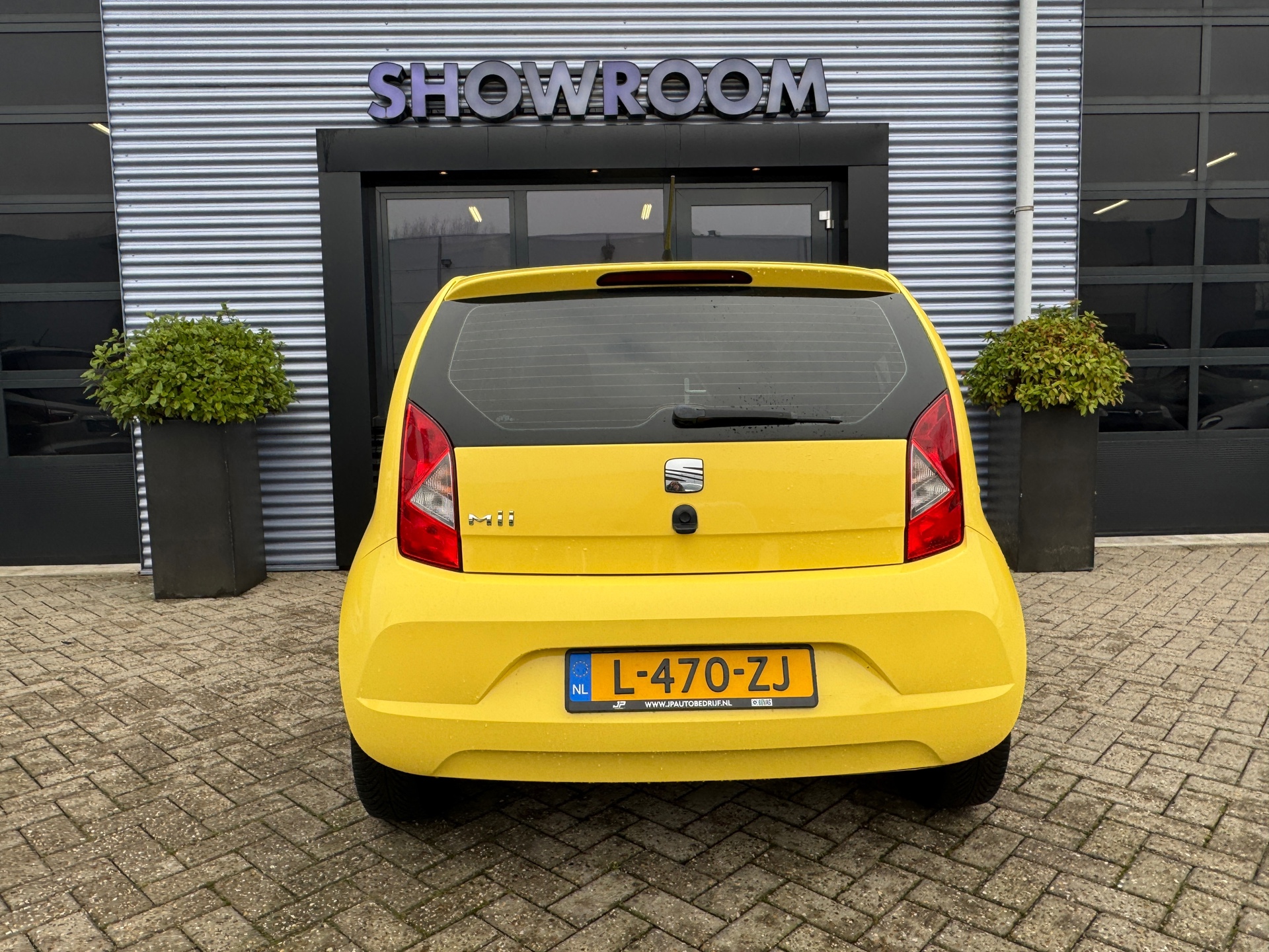42310118-10.jpg