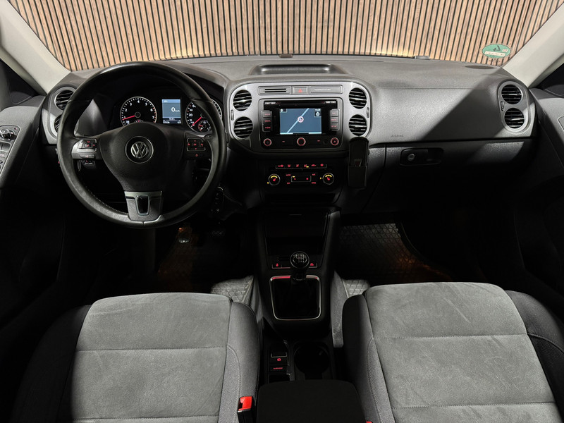 43087219-15.jpg
