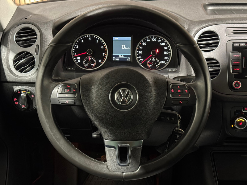 43087219-17.jpg