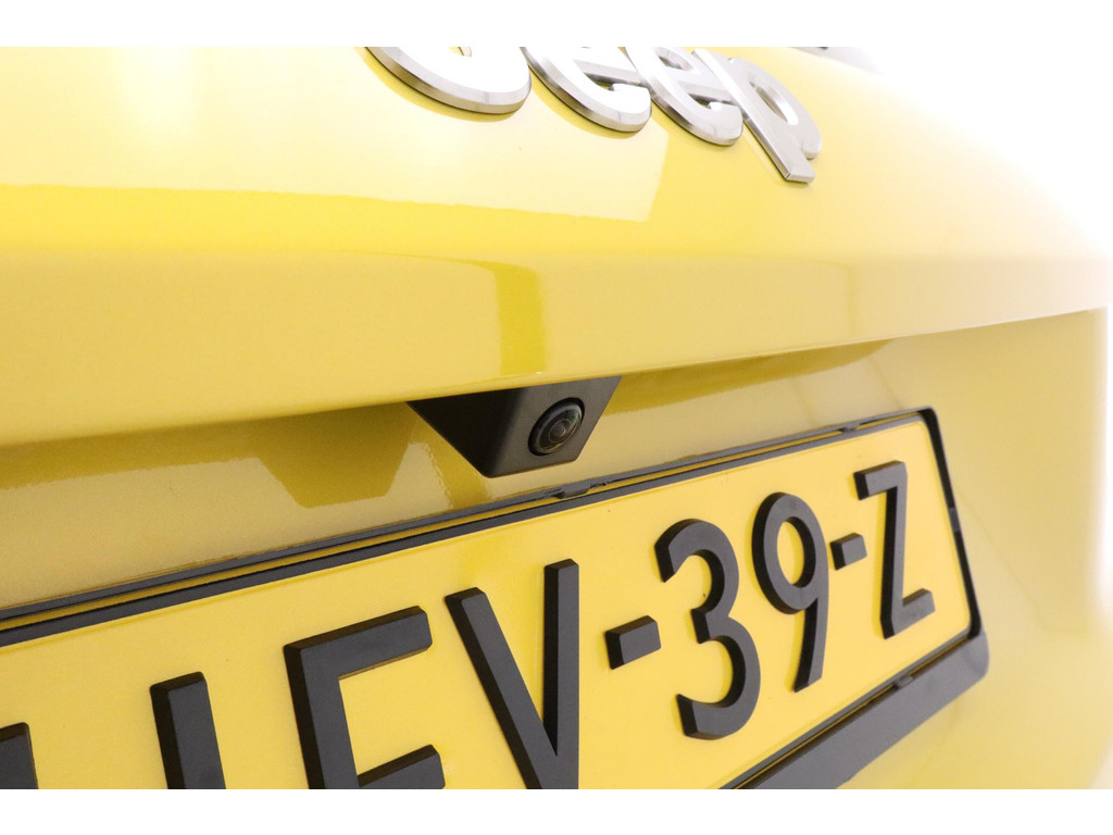 43188820-6.jpg