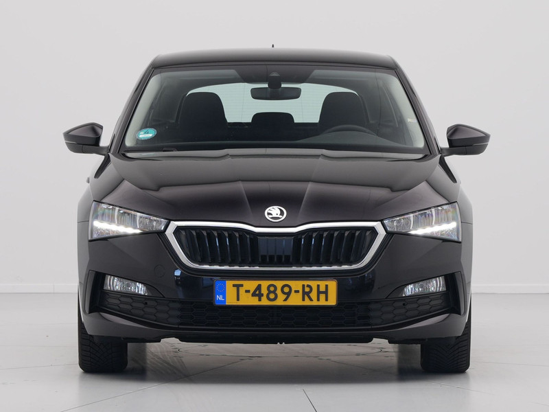 44307888-7.jpg
