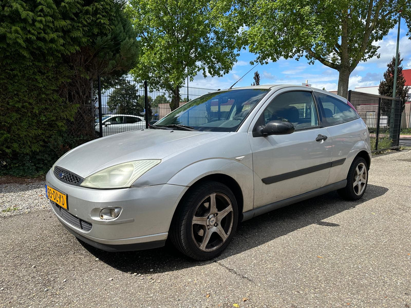 38019055