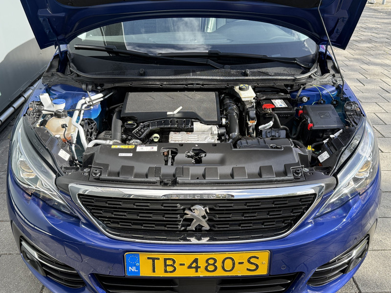 47398384-24.jpg