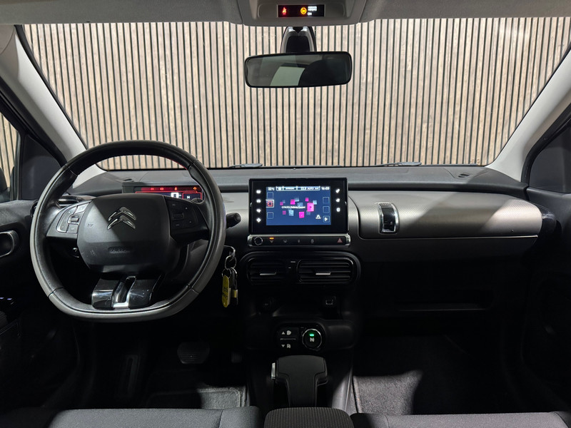 48089150-14.jpg