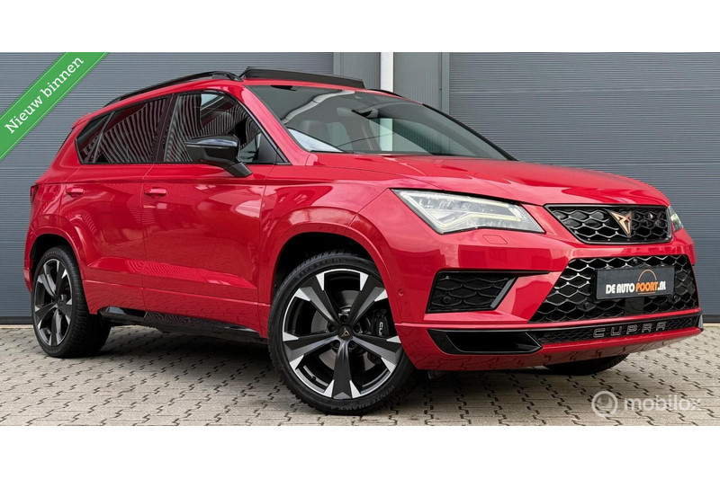 215844653-100