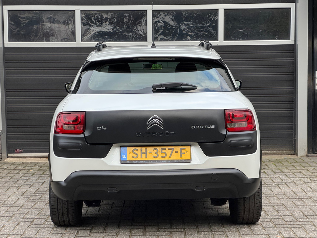 48495382-4.jpg