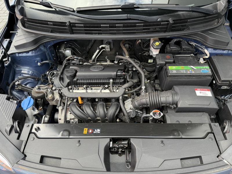 48557065-17.jpg