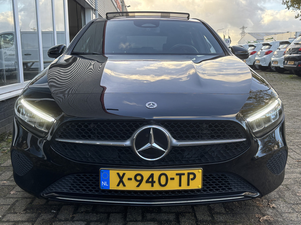 48677063-2.jpg