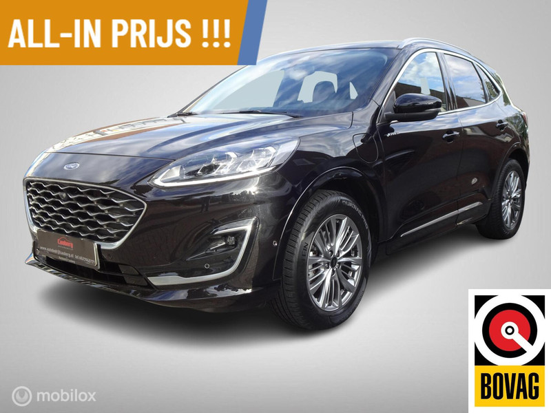 726981691-100