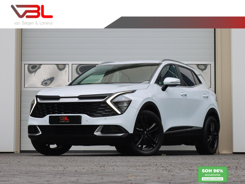 393391911-100
