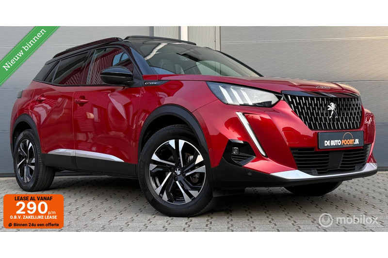 261841872-100